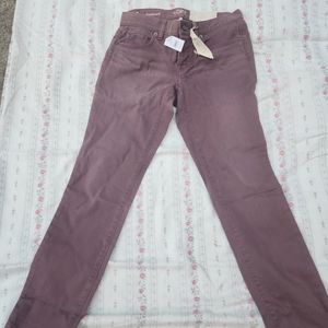 NWT Loft slim boyfriend ladies pants. Size 0 in perfect condition. Straight leg